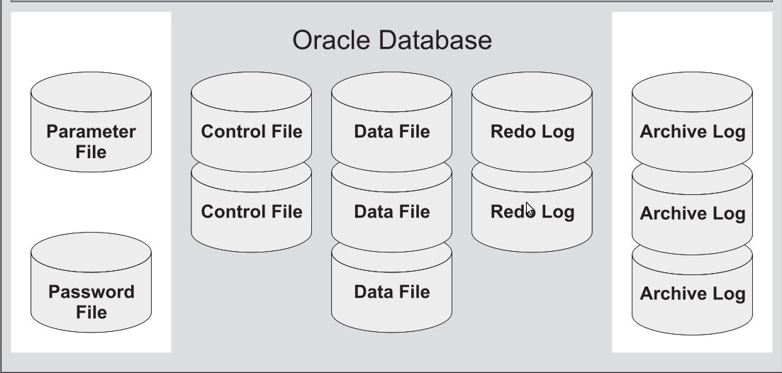 ​Существует много типов баз данных Oracle